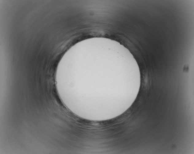 X0000113170616200910161309