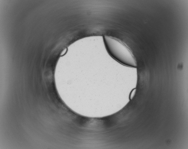 X0000113170617200910161309