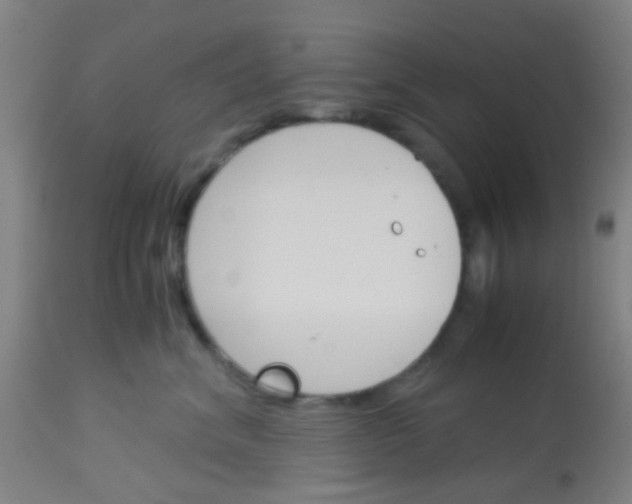 X0000113170620200910161309