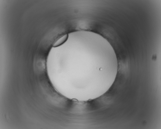 X0000113170621200910161309