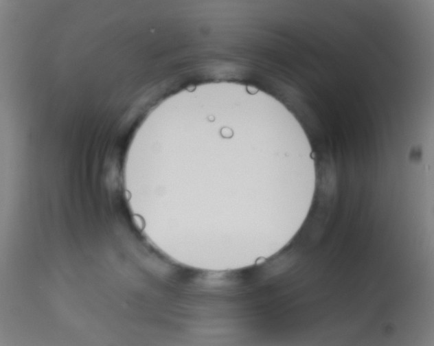 X0000113170622200910161309