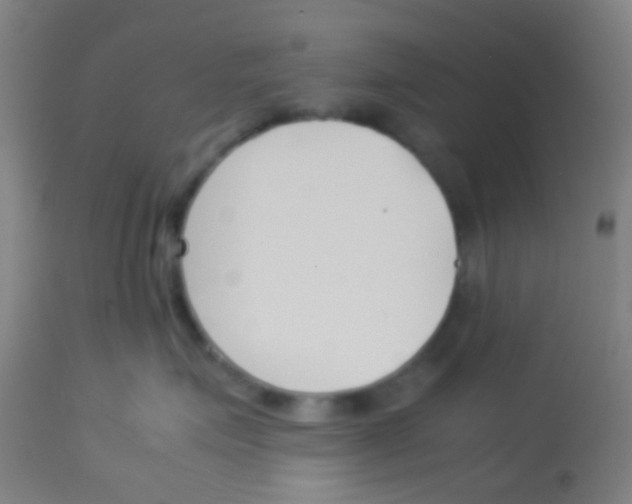 X0000113170623200910161309
