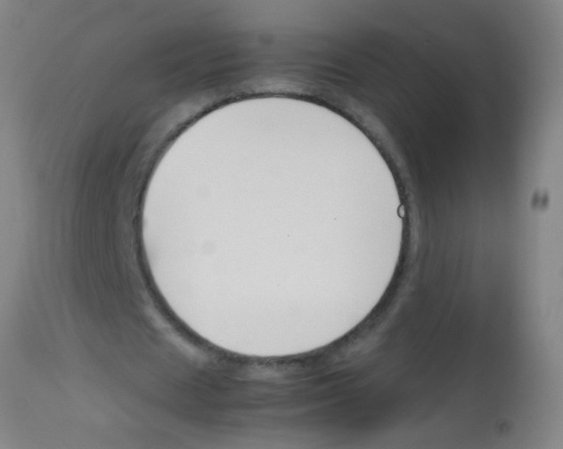X0000113170625200910161308