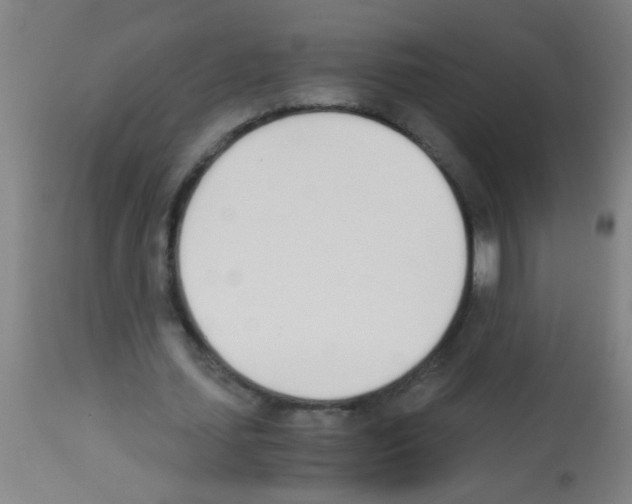 X0000113170627200910161308