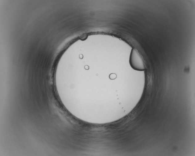 X0000113170628200910161308