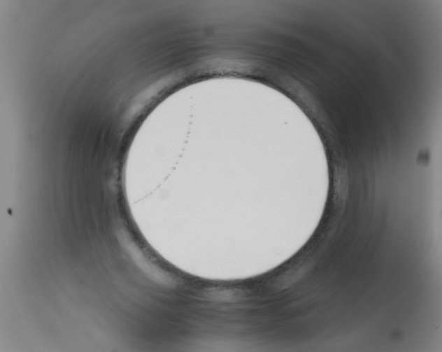 X0000113170629200910161308