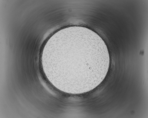 X0000113170630200910161308