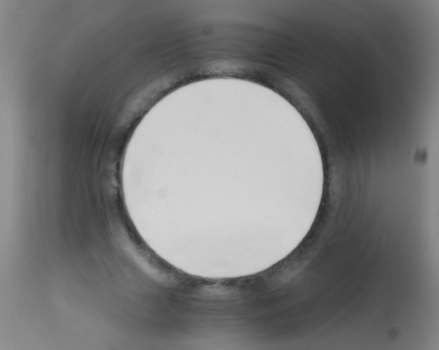 X0000113170633200910161308