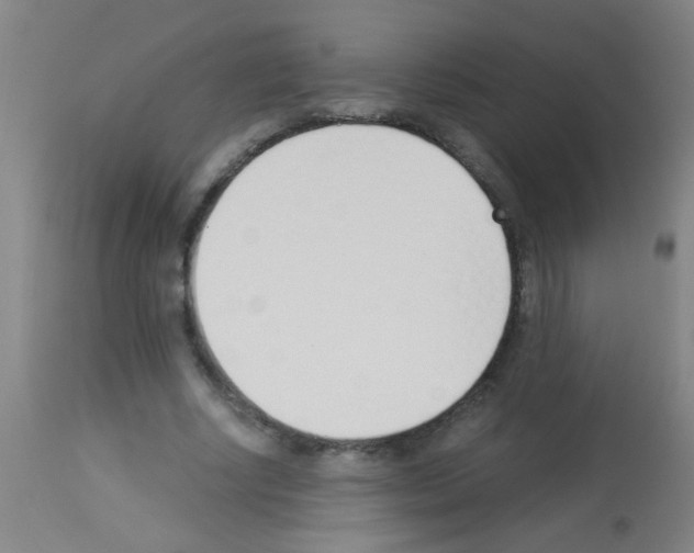 X0000113170634200910161308