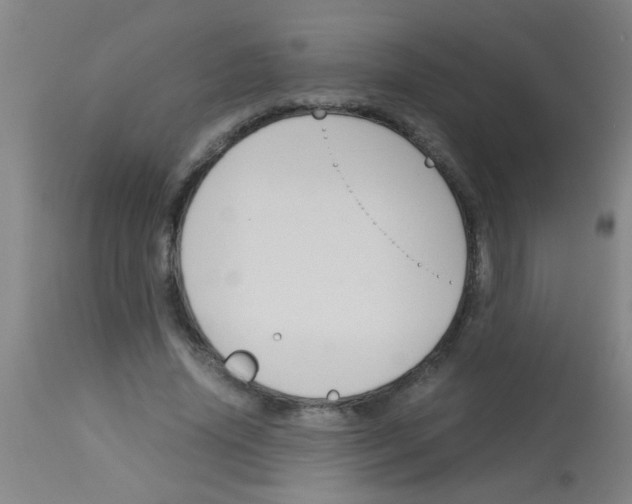 X0000113170636200910161308