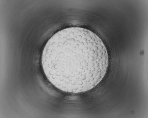 X0000113170639200910161308
