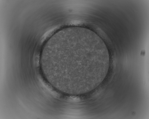 X0000113170640200910161308