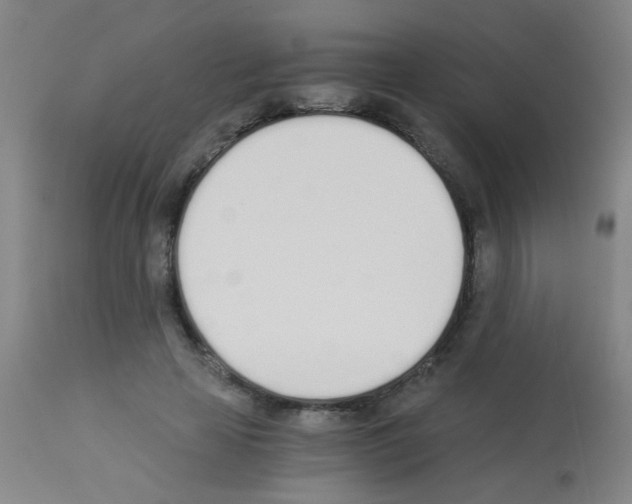 X0000113170641200910161308