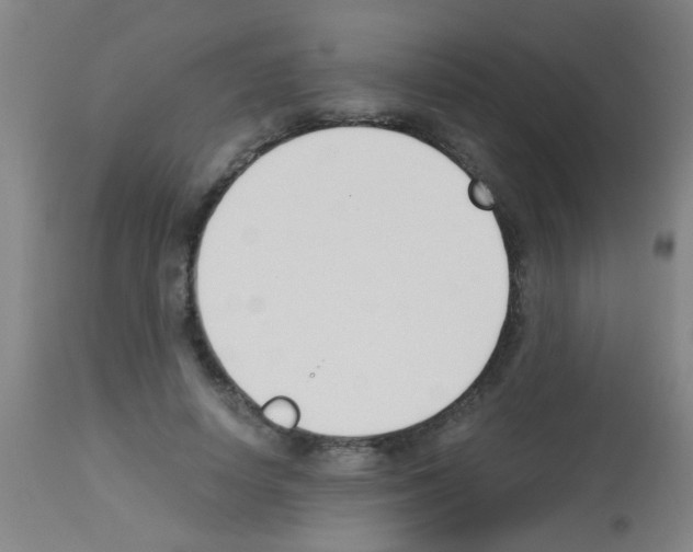 X0000113170642200910161308