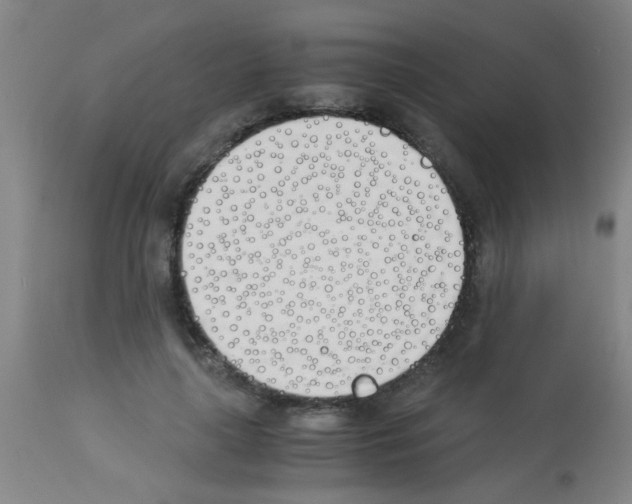 X0000113170643200910161308
