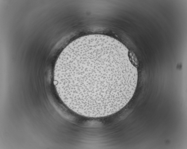 X0000113170644200910161308