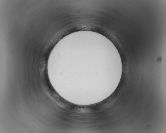 X0000113170645200910161309