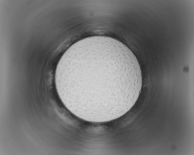 X0000113170646200910161309
