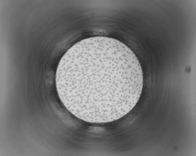 X0000113170649200910161309