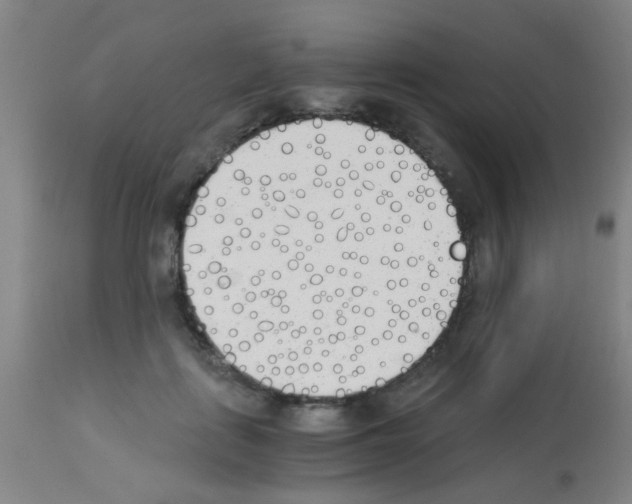 X0000113170651200910161309