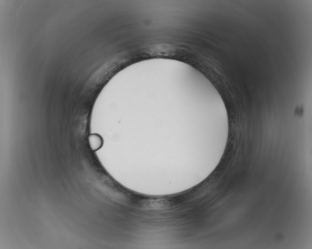 X0000113170652200910161309