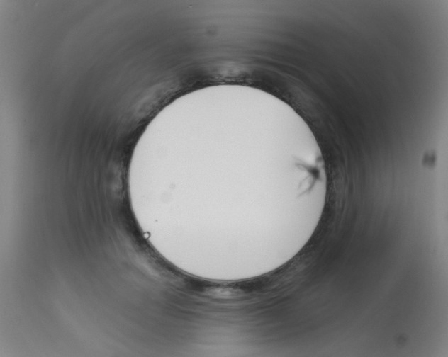 X0000113170654200910161309