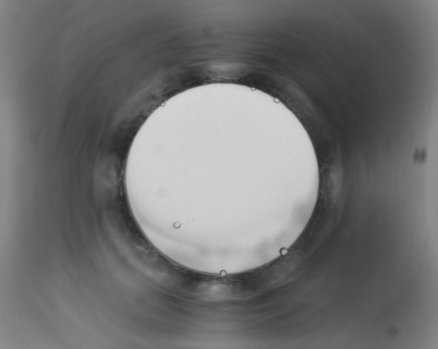 X0000113170655200910161309
