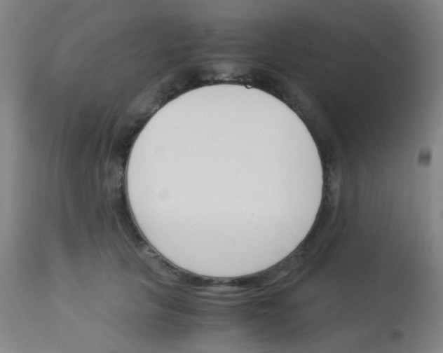 X0000113170657200910161309