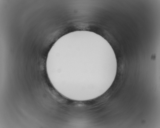 X0000113170658200910161309