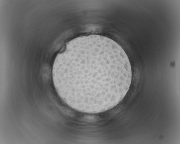 X0000113170659200910161309