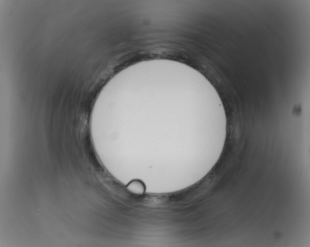 X0000113170660200910161309