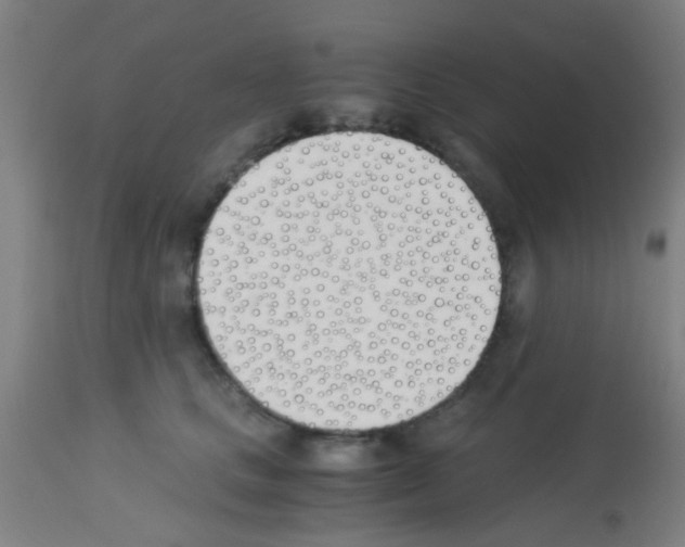 X0000113170661200910161309