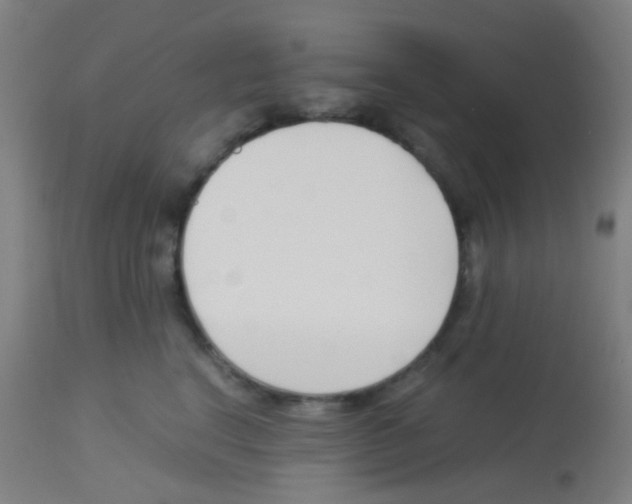 X0000113170664200910161309