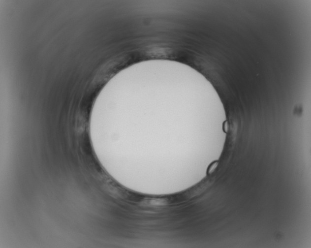 X0000113170665200910161309