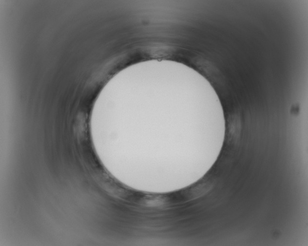 X0000113170667200910161309