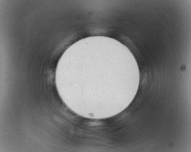 X0000113170669200910161309