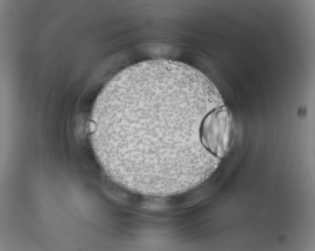 X0000113170671200910161309