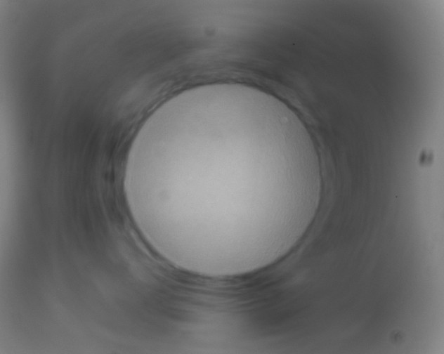 X0000113170672200910161309