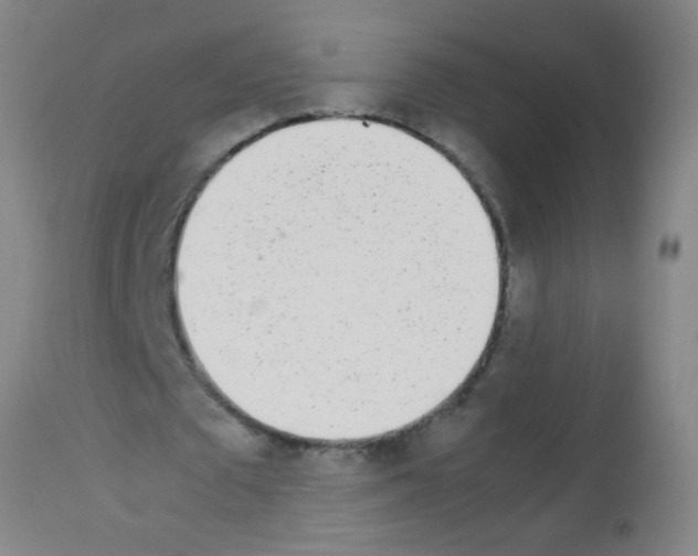 X0000113170673200910161308