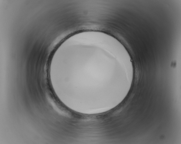 X0000113170674200910161308