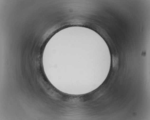 X0000113170675200910161308