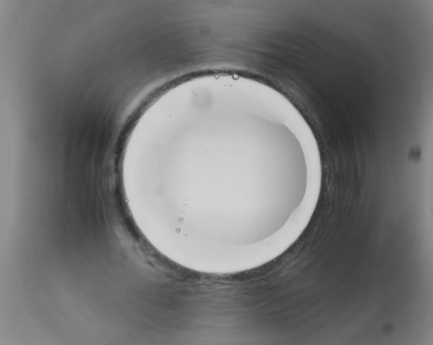 X0000113170676200910161308