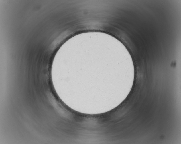 X0000113170677200910161308