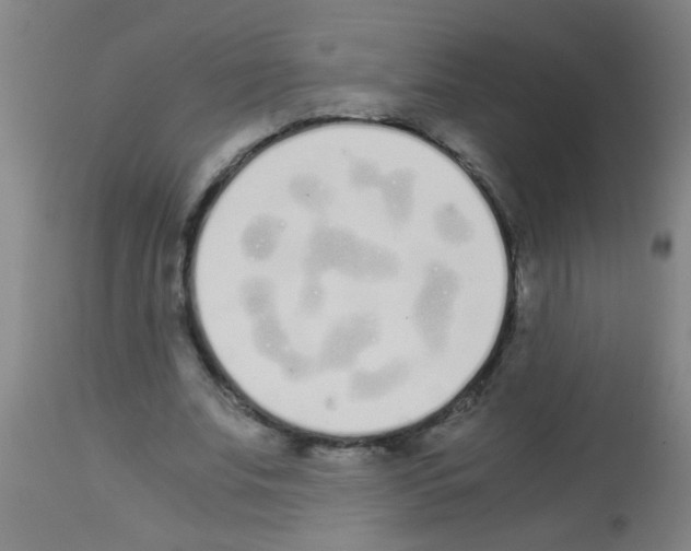 X0000113170679200910161308