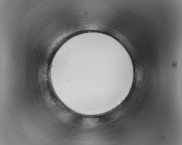 X0000113170680200910161308