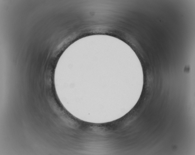 X0000113170681200910161308