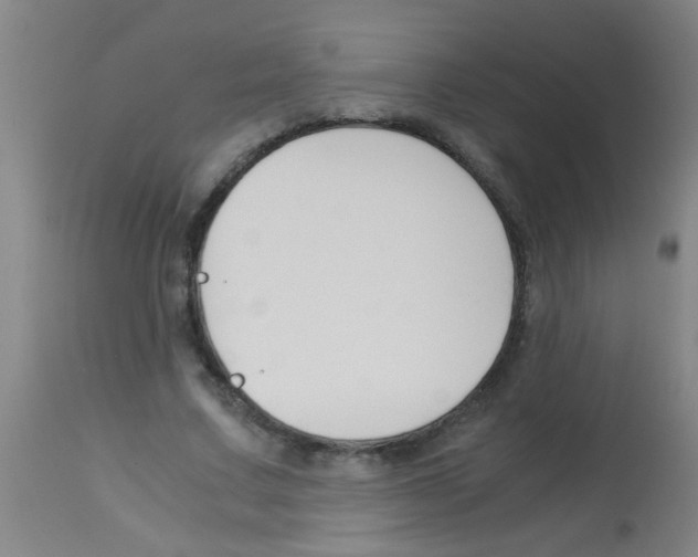X0000113170683200910161308
