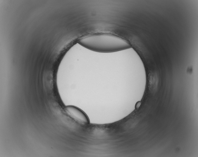 X0000113170684200910161308