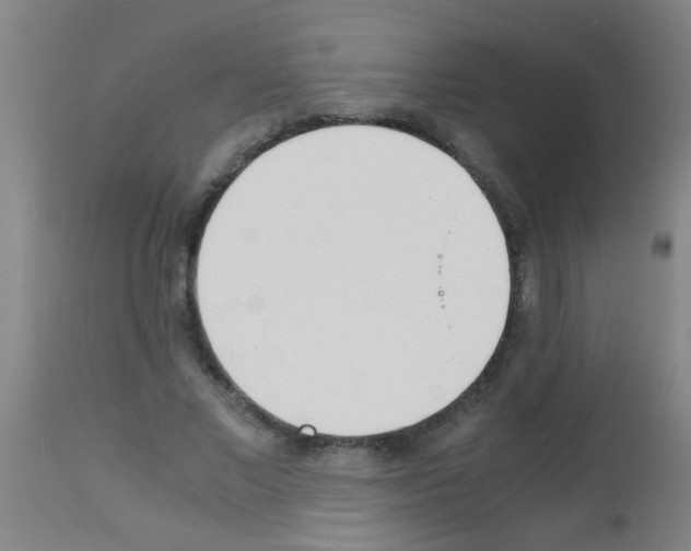 X0000113170685200910161308