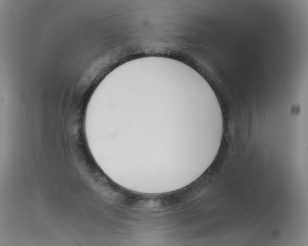X0000113170687200910161308